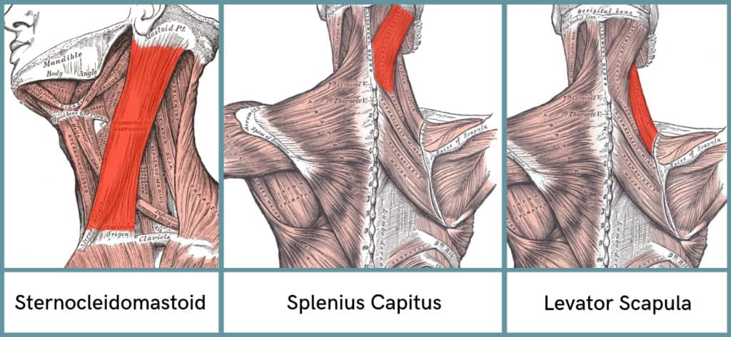 Bruffee therapist feature 1024x473 1