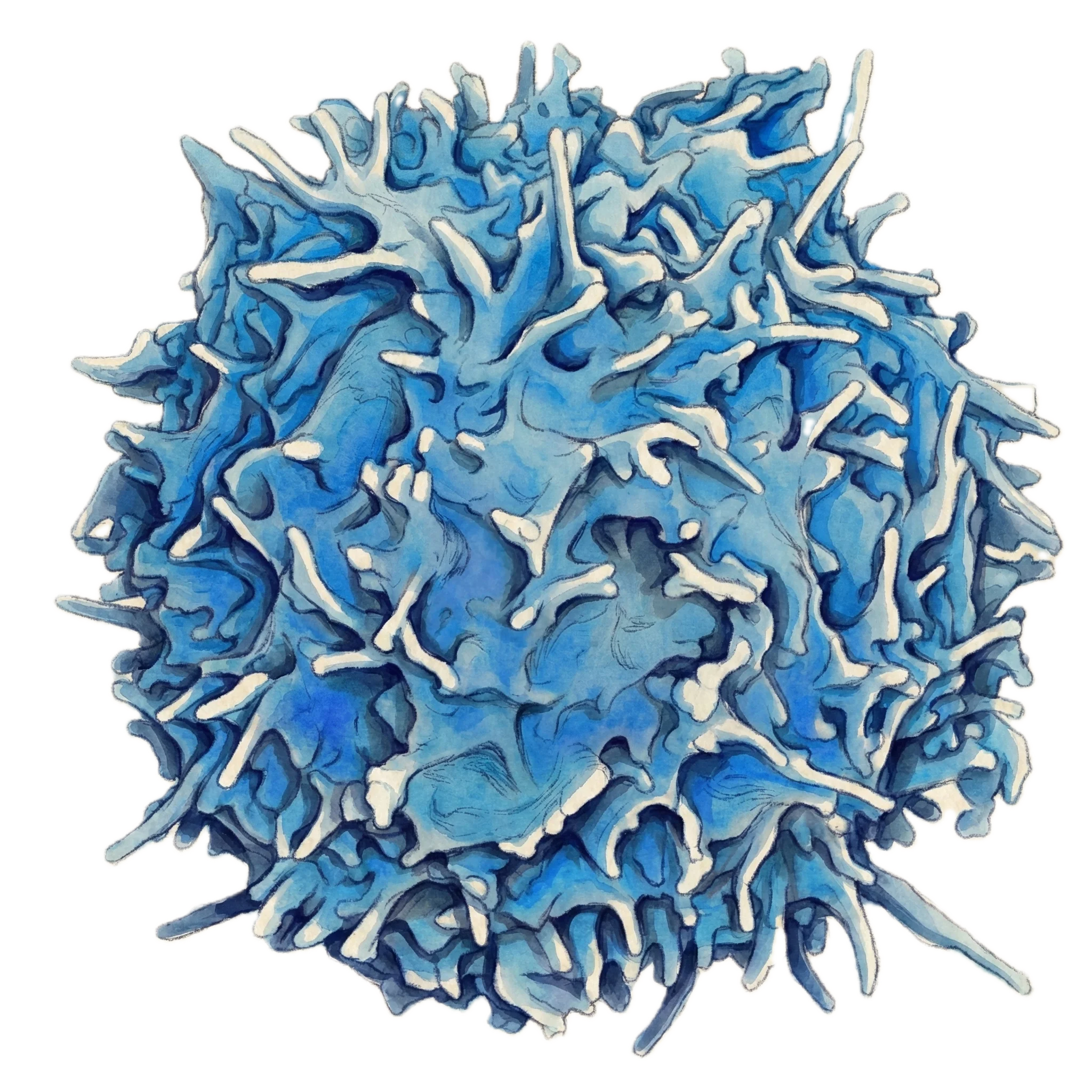 Massage for autoimmunity at Bodyworks DW