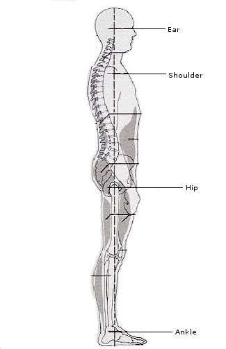 Plumb line posture view from the side (Image from The Gap Physio)